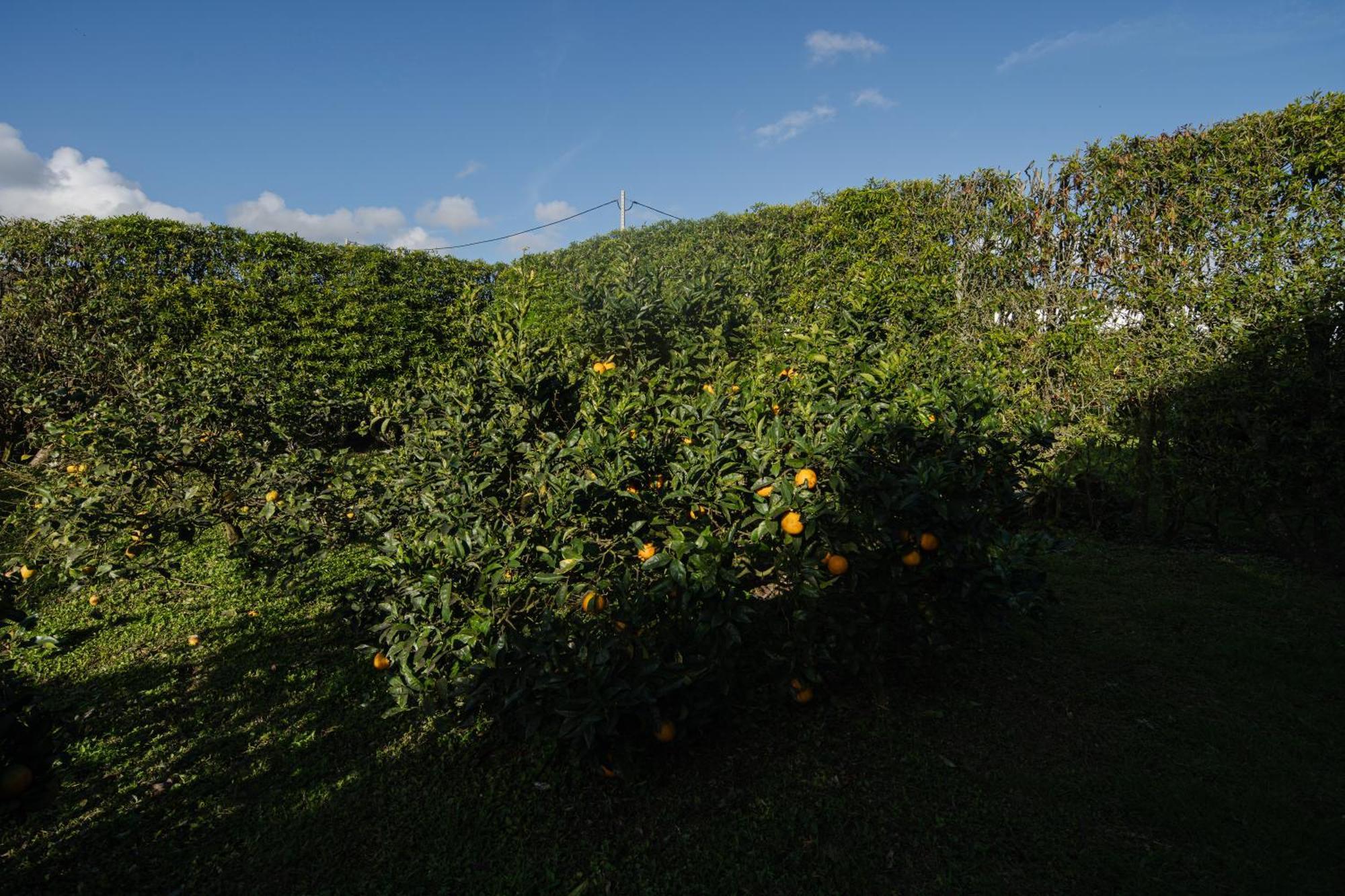 Quinta Do Ferreiro Villa Ponta Delgada Buitenkant foto